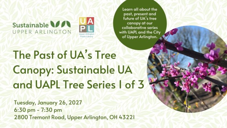 The Past of UA’s Tree Canopy: Sustainable UA and UAPL Tree Series 1 of 3